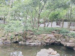 -上海醉白池公园