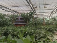 -南宫五洲植物乐园