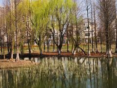 -白塘生态植物园