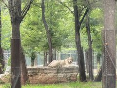 -秦皇岛野生动物园