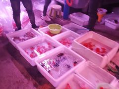 -中环花鸟鱼虫市场