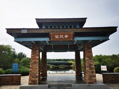 -大港湿地公园