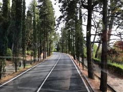 -米开朗琪罗广场