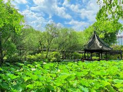 -上海醉白池公园