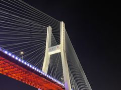 景观位-新龙船黄浦江餐饮游船官方自营店