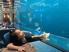 -瑞德姆美人鱼海底演艺主题餐厅(亚龙湾店)