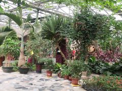 -呀路古热带植物园-恐龙馆