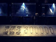 -侵华日军南京大屠杀遇难同胞纪念馆-停车场
