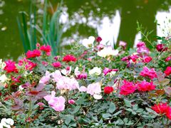 -人民公园(罗湖区)