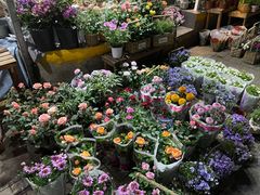 -循礼门鲜花花市(武汉循礼门店)