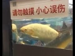 -胖东来生活广场(健康路店)