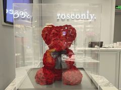-ROSEONLY诺誓(广州K11店)