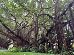 -台山颐和温泉城