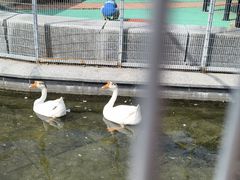 -北京园博大酒店