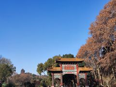 -弘阳·未来世界(弘阳广场店)
