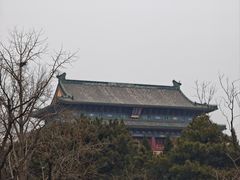 -陈记卤煮小肠