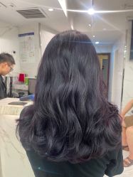 -潘多拉Hairsalon