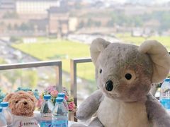 -金吉列留学·语培·小语种·国际课程(西安分公司)