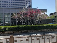 -军事博物馆(地铁站)