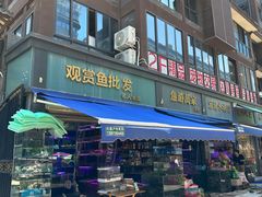 -青石桥花鸟鱼虫市场(叠翠城店)