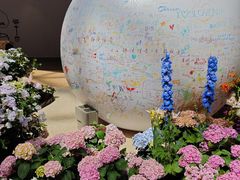 -上海长风大悦城