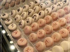 -BLACKSWAN黑天鹅(环球店)