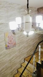 -Xmm小蜜密私密健康抗衰连锁品牌