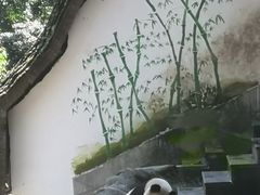 -中国大熊猫保护研究中心雅安碧峰峡基地