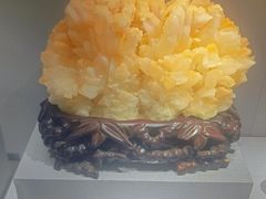 -湖南省地质博物馆