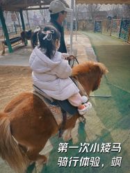 -萌宠亲子动物乐园(槐房万达店)