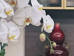 -利苑酒家(华熙国际店)