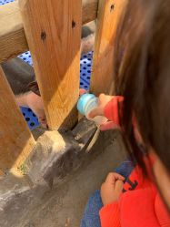 -萌宠亲子动物乐园(槐房万达店)