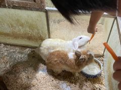 -上海大自然野生昆虫馆(东方明珠·爬宠昆虫探索中心)