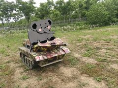 -上海长兴岛郊野公园