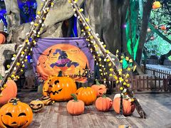 -横店影视城梦幻谷园区