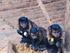-济南野生动物世界