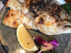 -石葵(锦业时代店)