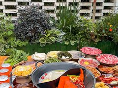 -阳阳老火锅(小南门店)