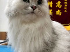 -宠福鑫动物医院·动物疾病诊疗中心(天通苑店)