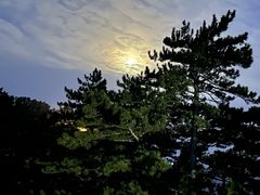 -华山风景名胜区