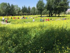 -长白岛森林公园