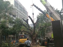 -广东水利电力职业技术学院(天河校区)