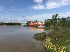 -上海长兴岛郊野公园