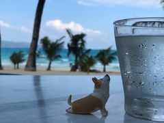 -The Sunny Side Cafe Station 1