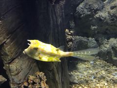 -福州罗源湾海洋世界旅游区