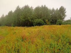 -塞罕坝国家级自然保护区