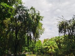 -晓港公园