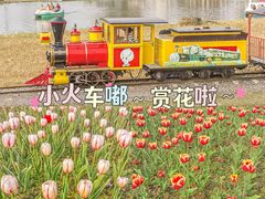 -径山花海
