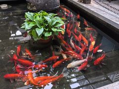 -野蔓果·山野菜(西湖景区·龙井茶田店)