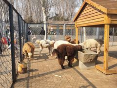 -长白岛森林公园